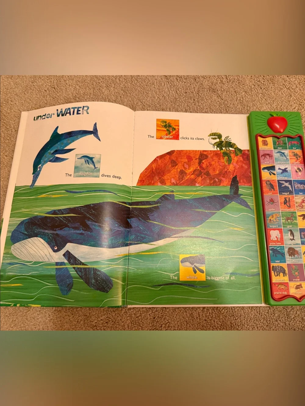 Hear Bear Roar Sound Book by Eric Carle - Brown Bear Illustration